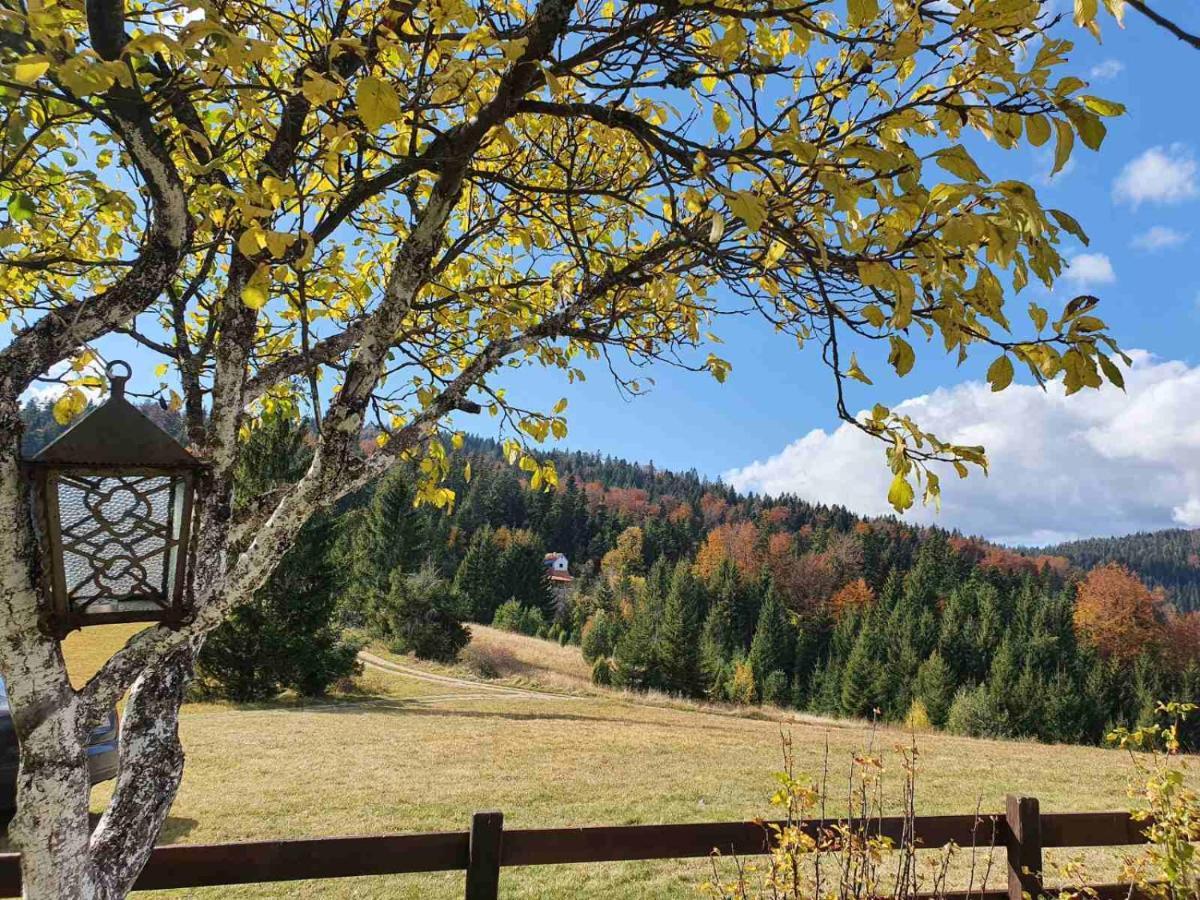 Villa Brvnare Na Brdu Sljivovica  Esterno foto