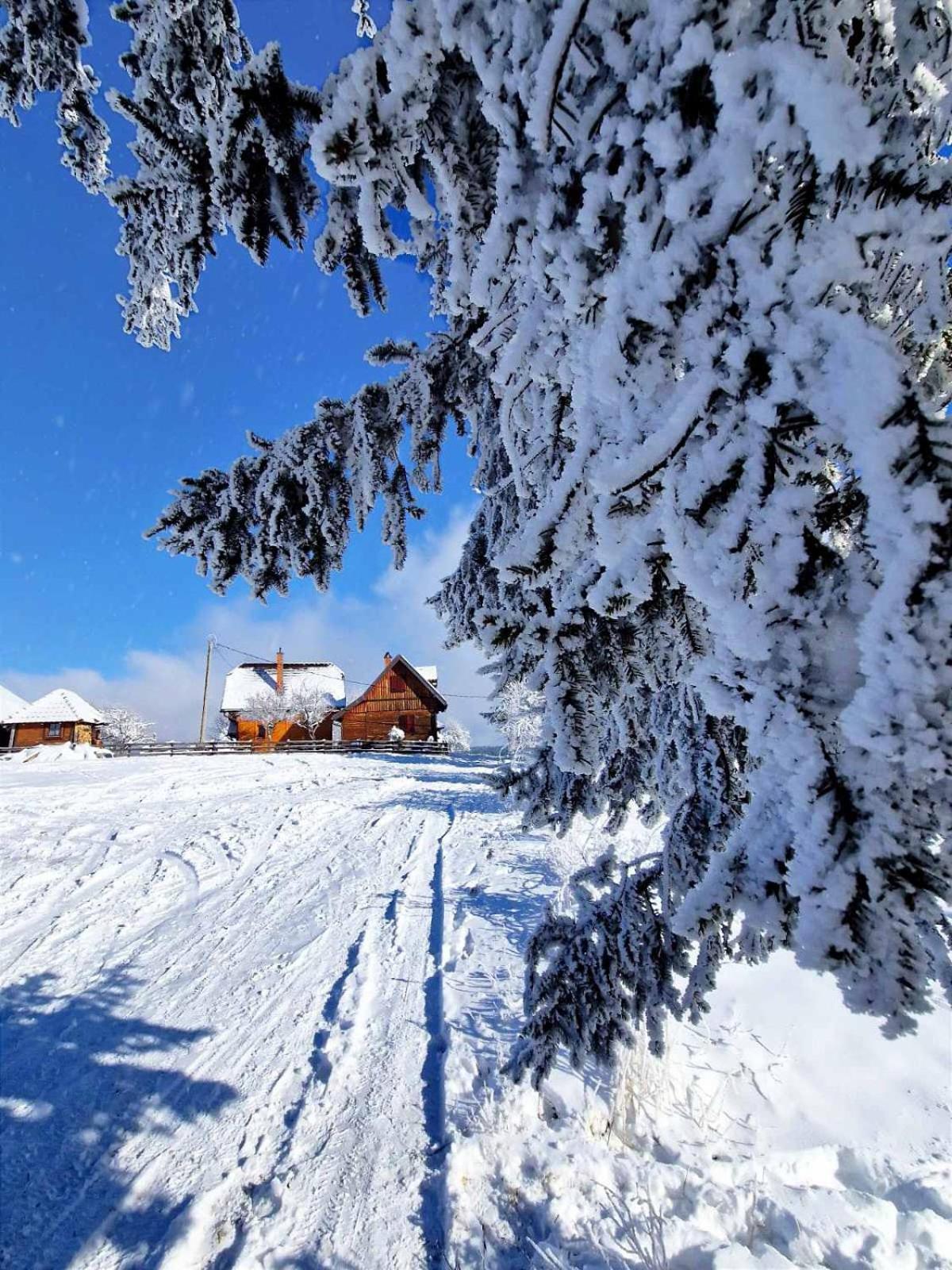 Villa Brvnare Na Brdu Sljivovica  Esterno foto
