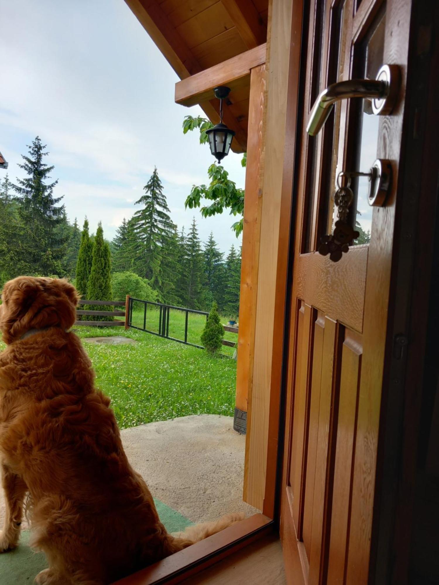 Villa Brvnare Na Brdu Sljivovica  Esterno foto