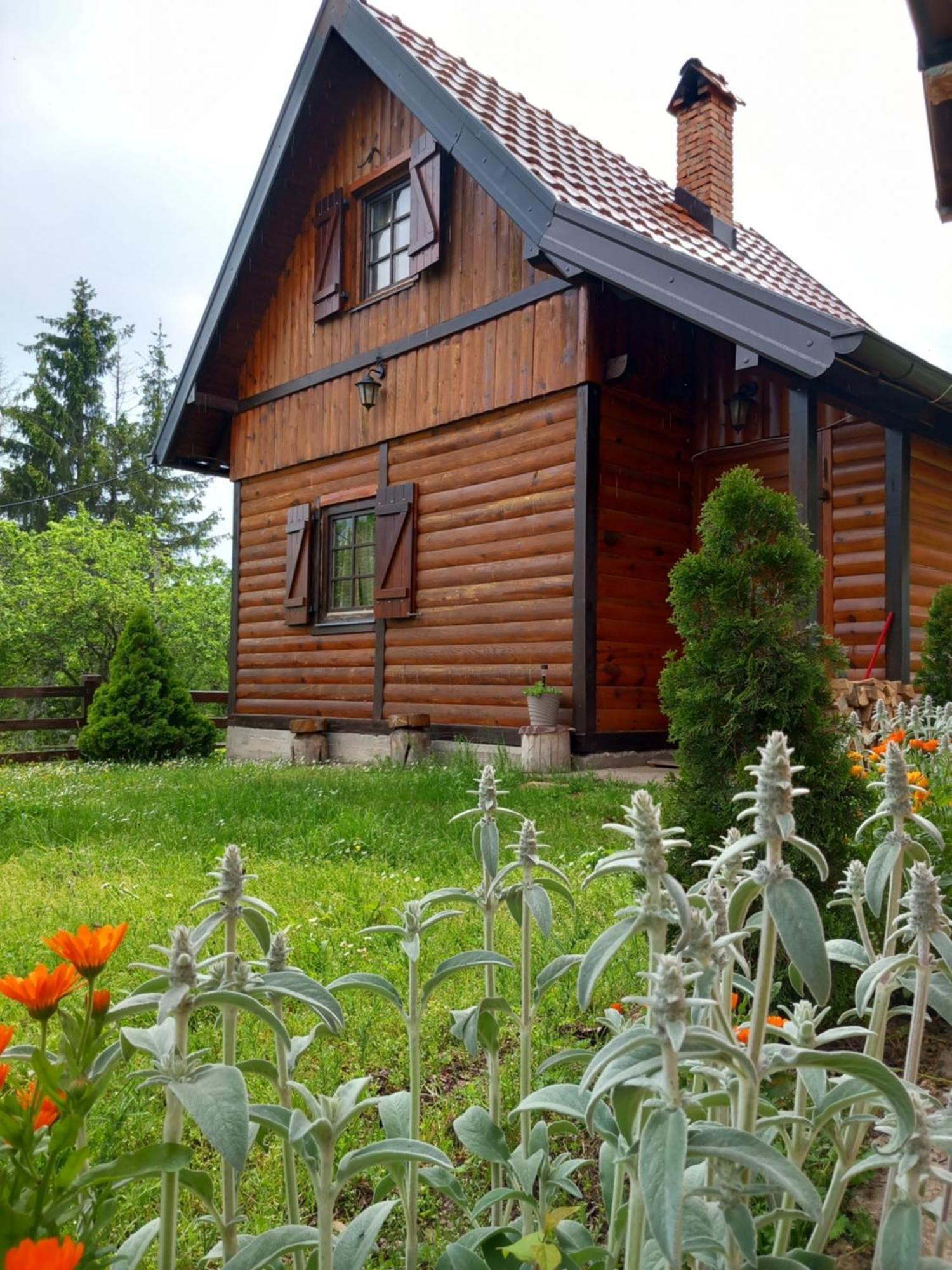 Villa Brvnare Na Brdu Sljivovica  Esterno foto
