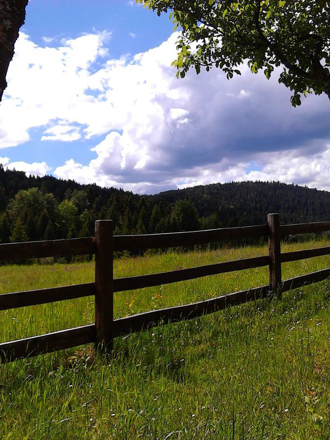 Villa Brvnare Na Brdu Sljivovica  Esterno foto