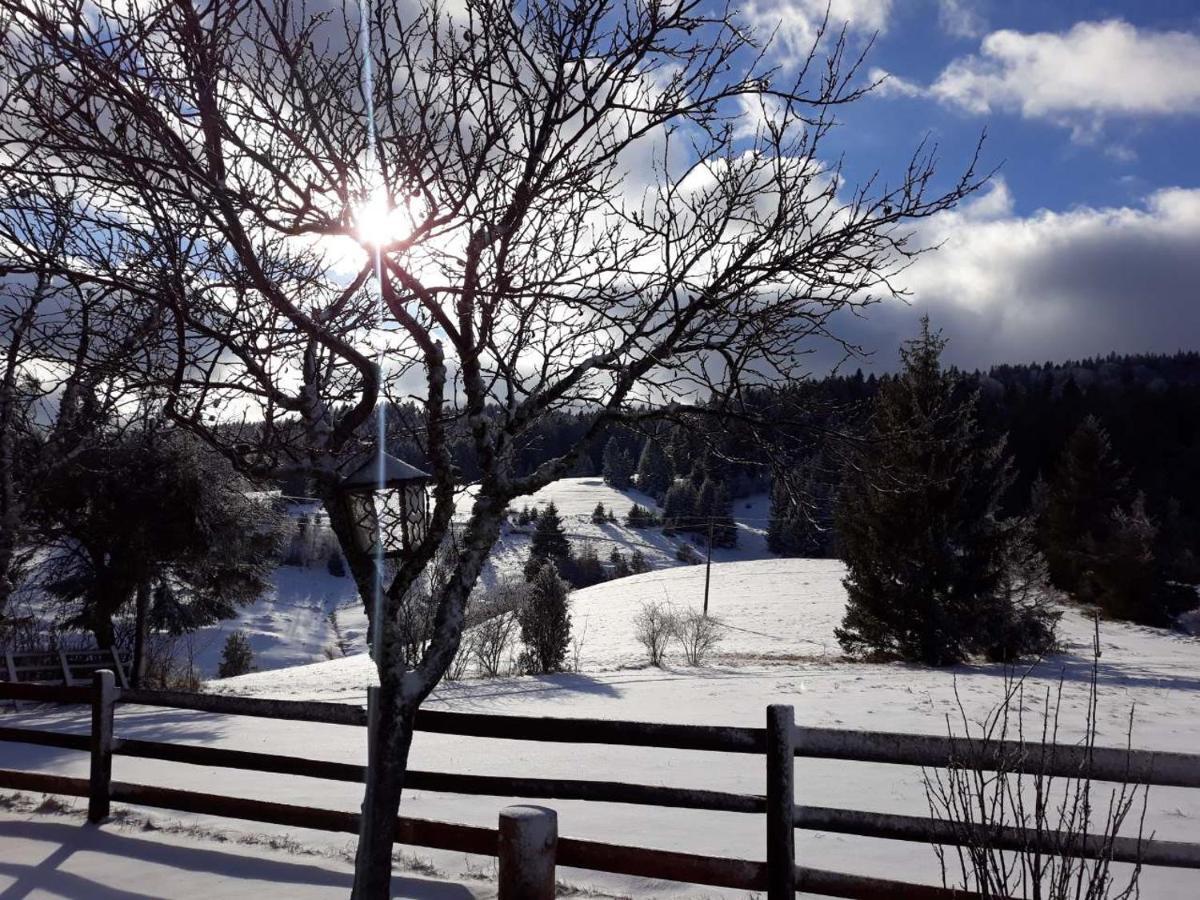 Villa Brvnare Na Brdu Sljivovica  Esterno foto